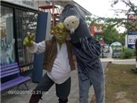 Shrek & Donkey