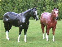 	Fiber Glass Horses 8Ft		