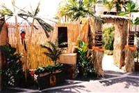 Tiki Entrance Display		