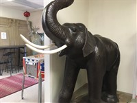 8Ft Elephant			